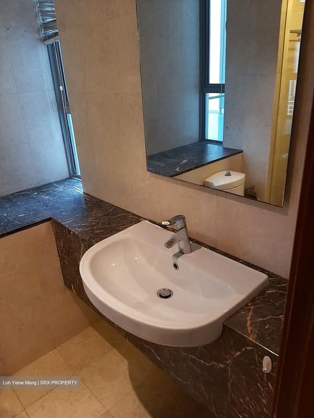 Residences @ Evelyn (D11), Condominium #620527291